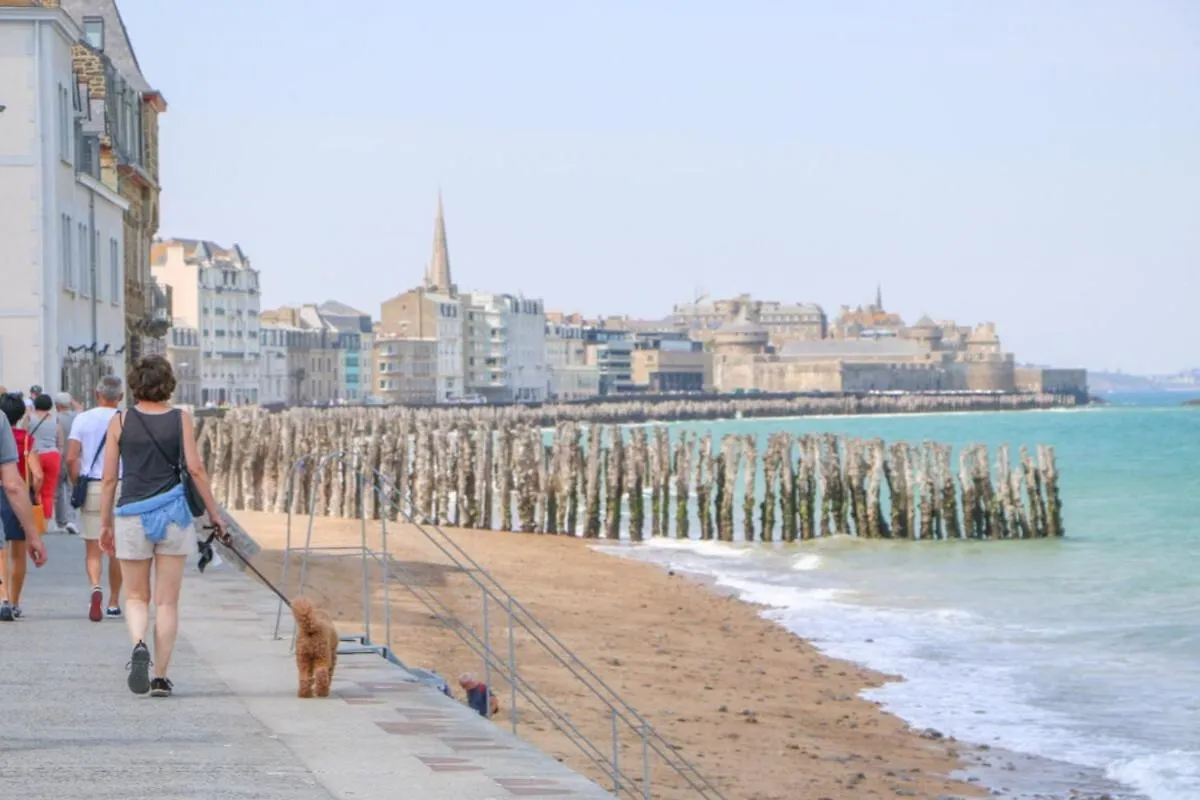 Lostra 2 - Appartement Avec Mezzanine, Front De Mer A Cancale Sur Le Port De La Houle France